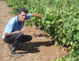 Jorge, el viticultor